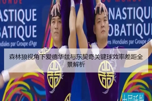森林狼视角下爱德华兹与东契奇关键球效率差距全景解析